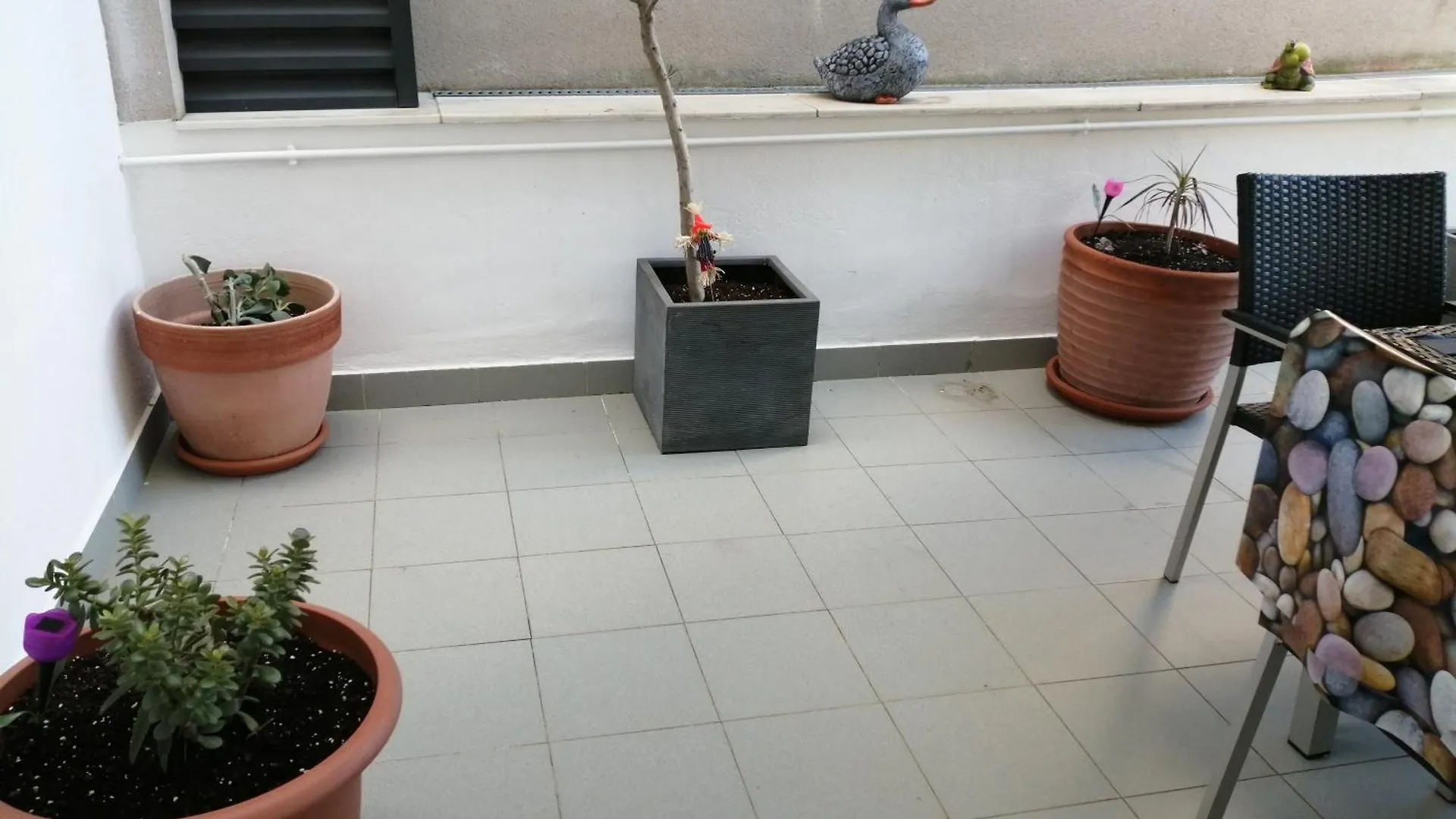 Apartaments Oller Centro Roses 0*,